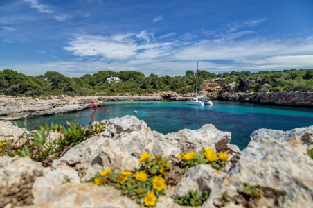 Bild-Nr: 11445415 Mallorca - Cala Sa Nau Erstellt von: jseibertz