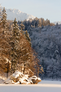 Bild-Nr: 11445994 Still ruht der See Erstellt von: ELIO