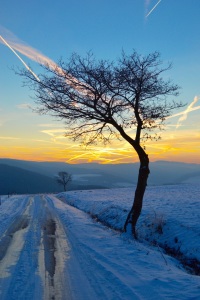 Bild-Nr: 11446135 Eifelhöhen im Winter Erstellt von: KundenNr-284787