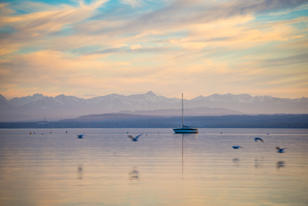 Bild-Nr: 11446442 in front of the Alps Erstellt von: hannes cmarits