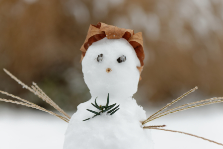 Bild-Nr: 11447208 Schneemann mit Hut Erstellt von: Martin Schütze