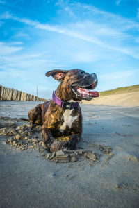 Bild-Nr: 11447916 FREIHEIT Erstellt von: Spike-Lee