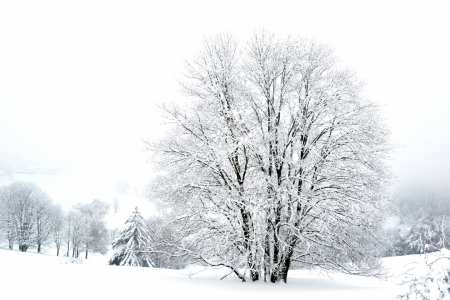 Bild-Nr: 11448958 Winter in Thüringen Erstellt von: teuber47