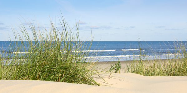 Bild-Nr: 11448967 Auf Langeoog Erstellt von: Reiner Würz