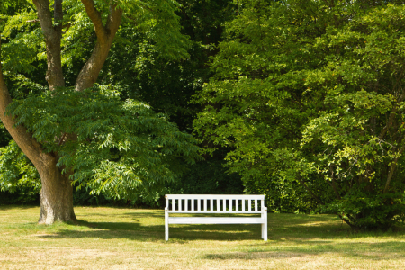 Bild-Nr: 11452137 Bank im Park Erstellt von: Anja Schäfer