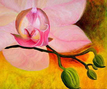 Bild-Nr: 11454079 Orchideen - Blüte mit Knospen Erstellt von: Ulrike Kröll
