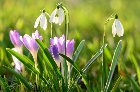 Bild-Nr: 11461863 Frühlingsgefühle erwachen Erstellt von: Ostfriese