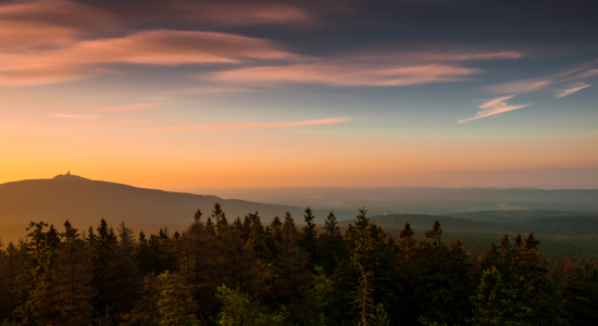 Bild-Nr: 11462361 Der Harzer Wald Erstellt von: Steffen Henze