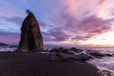 Bild-Nr: 11464701 Rialto Beach - Olympic NP Erstellt von: TomKli