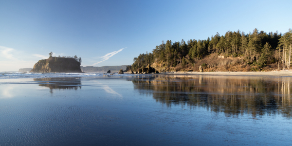 Bild-Nr: 11465208 Ruby Beach - Olympic NP Erstellt von: TomKli