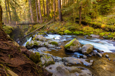 Bild-Nr: 11465256 Sol Duc Waterfall - Olympic National Park Erstellt von: TomKli