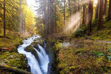 Bild-Nr: 11465270 Sol Duc Waterfall - Olympic National Park Erstellt von: TomKli