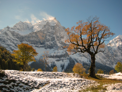 Bild-Nr: 11465463 Eng in Tirol Erstellt von: kleegina