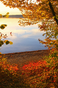 Bild-Nr: 11465472 Herbstabend am See Erstellt von: SusaZoom