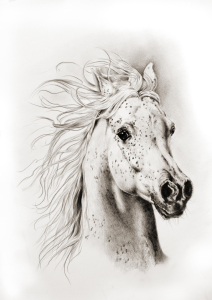 Bild-Nr: 11465821 Arabian Spirit Erstellt von: Art-Equus