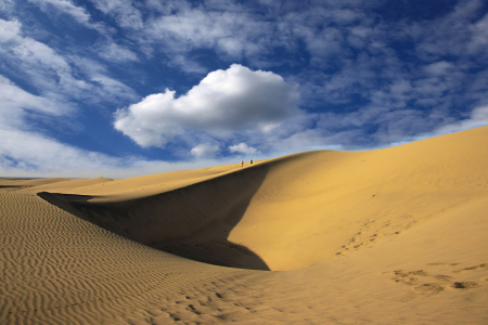 Bild-Nr: 11466137 Dünen von Playa del Ingles Erstellt von: Renate Knapp