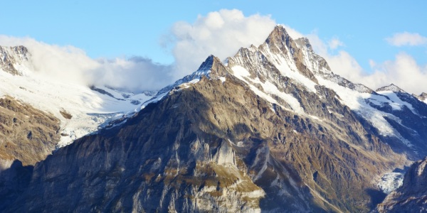 Bild-Nr: 11468323 Schreckhorn Erstellt von: Bettina Schnittert