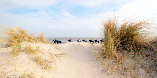 Bild-Nr: 11468426 Langeoog © wompus Erstellt von: wompus