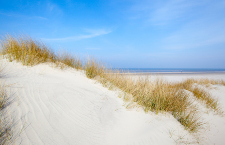 Bild-Nr: 11469357 Langeoog Erstellt von: wompus