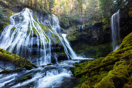 Bild-Nr: 11469987 Panther Creek Falls Erstellt von: TomKli