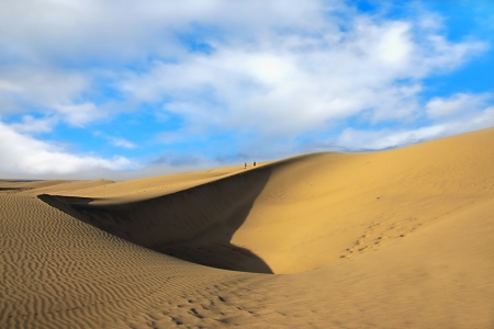 Bild-Nr: 11470996 Dünen von Playa del Ingles Erstellt von: Renate Knapp