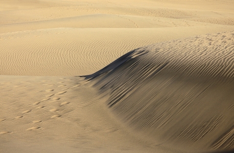 Bild-Nr: 11471909 Dünen von Playa del Ingles Erstellt von: Renate Knapp