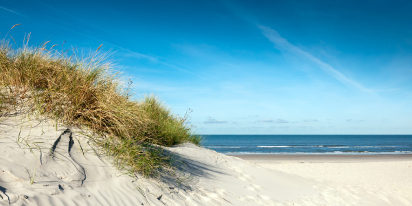 Bild-Nr: 11472376 Langeoog Erstellt von: Reiner Würz