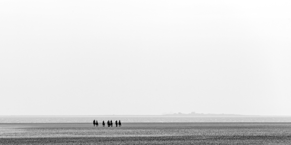 Bild-Nr: 11472695 Reiter auf dem Wattenmeer Erstellt von: wompus