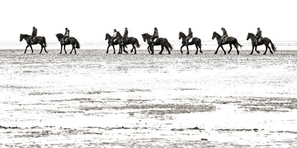 Bild-Nr: 11472697 Reiter auf dem Wattenmeer Erstellt von: wompus