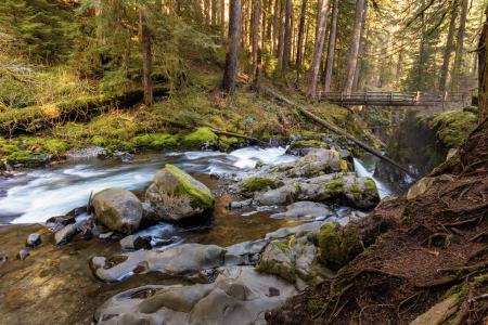 Bild-Nr: 11472734 Sol Duc Waterfall - Olympic National Park Erstellt von: TomKli