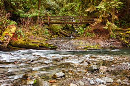 Bild-Nr: 11472918 Olympic National Park Erstellt von: TomKli