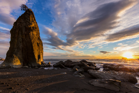 Bild-Nr: 11474359 Rialto Beach - Olympic NP Erstellt von: TomKli