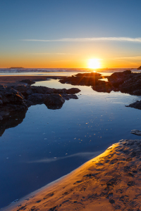 Bild-Nr: 11474365 Ruby Beach - Olympic National Park, USA Erstellt von: TomKli