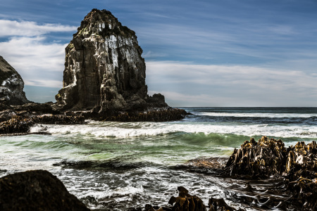 Bild-Nr: 11476523 Cannibal Bay, Neuseeland Erstellt von: folca