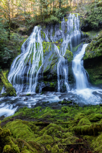 Bild-Nr: 11477983 Panther Creek Falls Erstellt von: TomKli