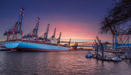 Bild-Nr: 11478818 Eleonora Maersk III Erstellt von: PhotoArt-Hartmann