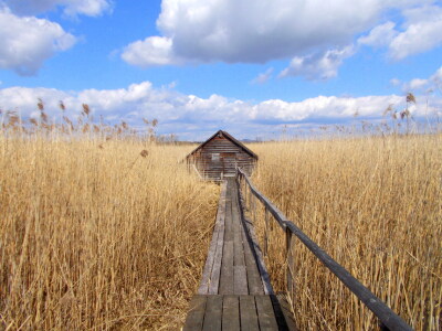 Bild-Nr: 11481834 Hütte der Moorhexe Erstellt von: dusia1947