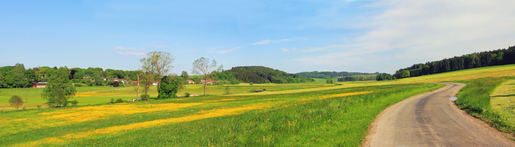 Bild-Nr: 11484719 Naturspaziergang Erstellt von: SusaZoom