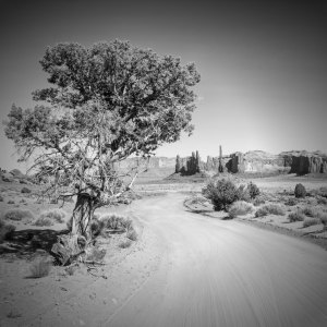 Bild-Nr: 11485454 Monument Valley Drive und Totem Pole sw  Erstellt von: Melanie Viola