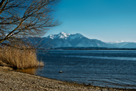 Bild-Nr: 11485635 Chiemsee - Am Ufer Erstellt von: manhART