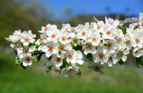Bild-Nr: 11487483 Frühling ists ... Erstellt von: GUGIGEI