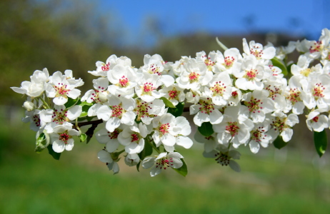 Bild-Nr: 11487483 Frühling ists ... Erstellt von: GUGIGEI