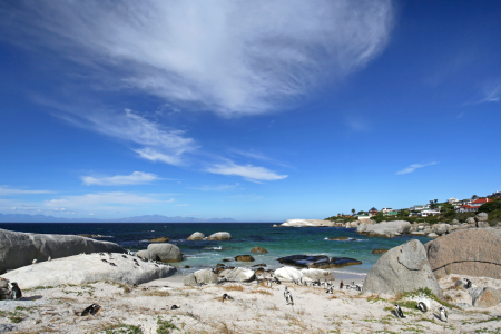 Bild-Nr: 11491440 Boulders Beach Erstellt von: Thomas Herzog