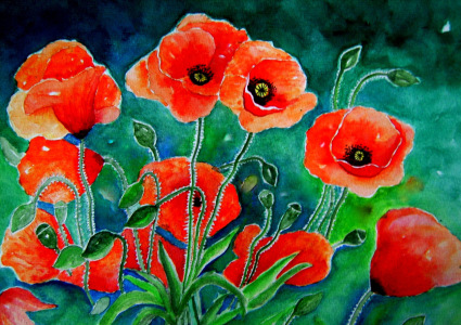 Bild-Nr: 11494120 Mohnblumen Aquarell Malerei Erstellt von: siegfried2838