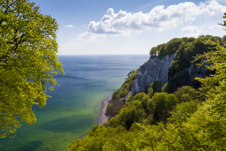 Bild-Nr: 11495217 Kreidefelsen Erstellt von: uwekantz