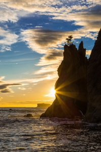 Bild-Nr: 11498994 Rialto Beach - Olympic NP Erstellt von: TomKli