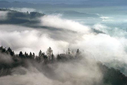 Bild-Nr: 11499294 Herbstnebel über Freiburg Erstellt von: Patrick Lohmüller