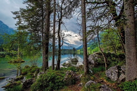 Bild-Nr: 11501639 Zauberwald am Hintersee Erstellt von: wompus