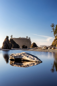 Bild-Nr: 11501667 Ruby Beach - Olympic National Park, USA Erstellt von: TomKli