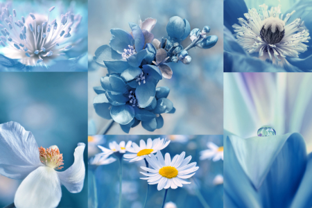 Bild-Nr: 11504218 Frühling Collage Erstellt von: Atteloi
